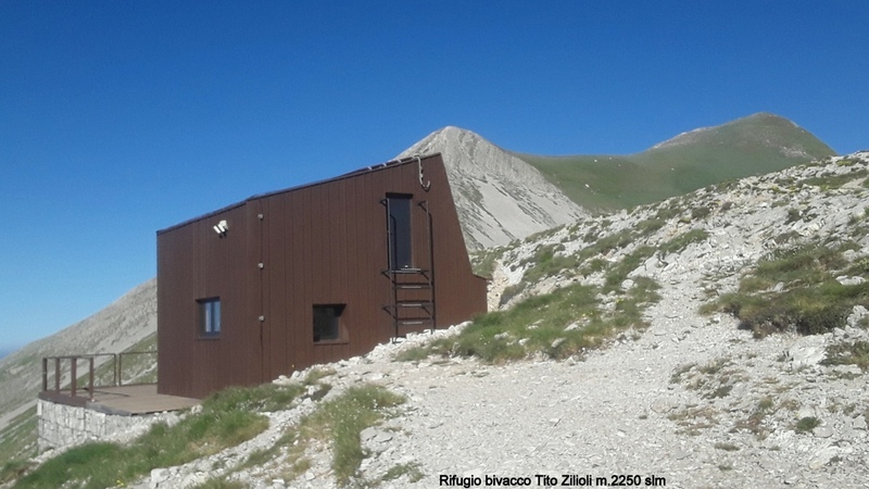 Orchidee e fiori del Monte Vettore e del Lago di Pilato � 26 giugno 2025.